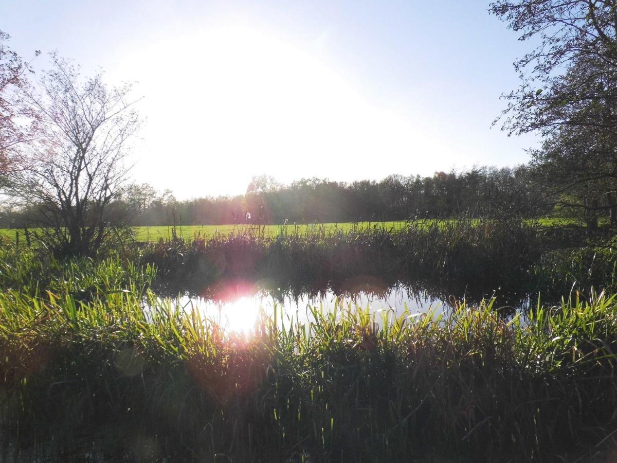 Vakantiehuisjes Landgoed Sonneborghe Kollumerzwaag Экстерьер фото