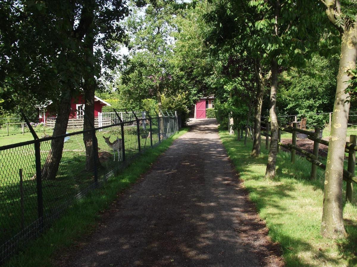 Vakantiehuisjes Landgoed Sonneborghe Kollumerzwaag Экстерьер фото
