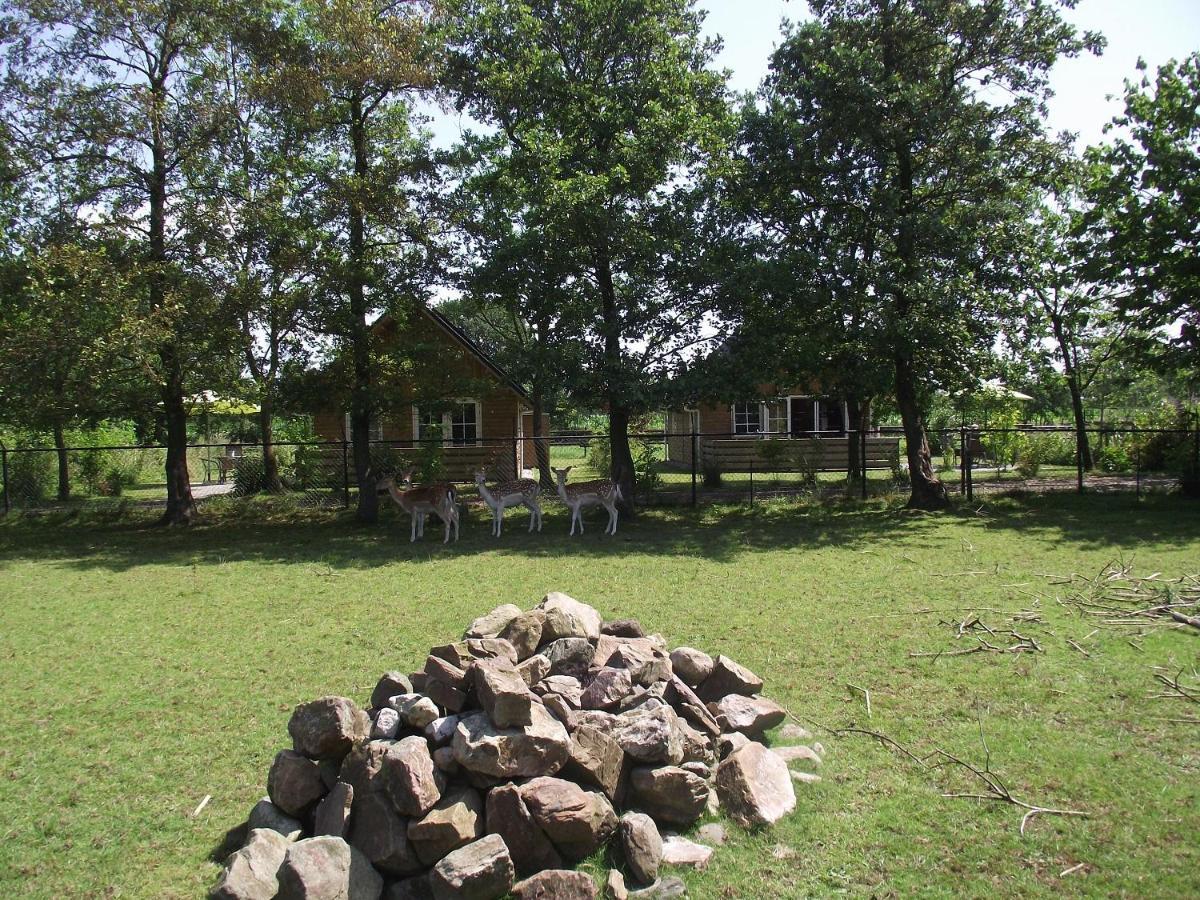 Vakantiehuisjes Landgoed Sonneborghe Kollumerzwaag Экстерьер фото