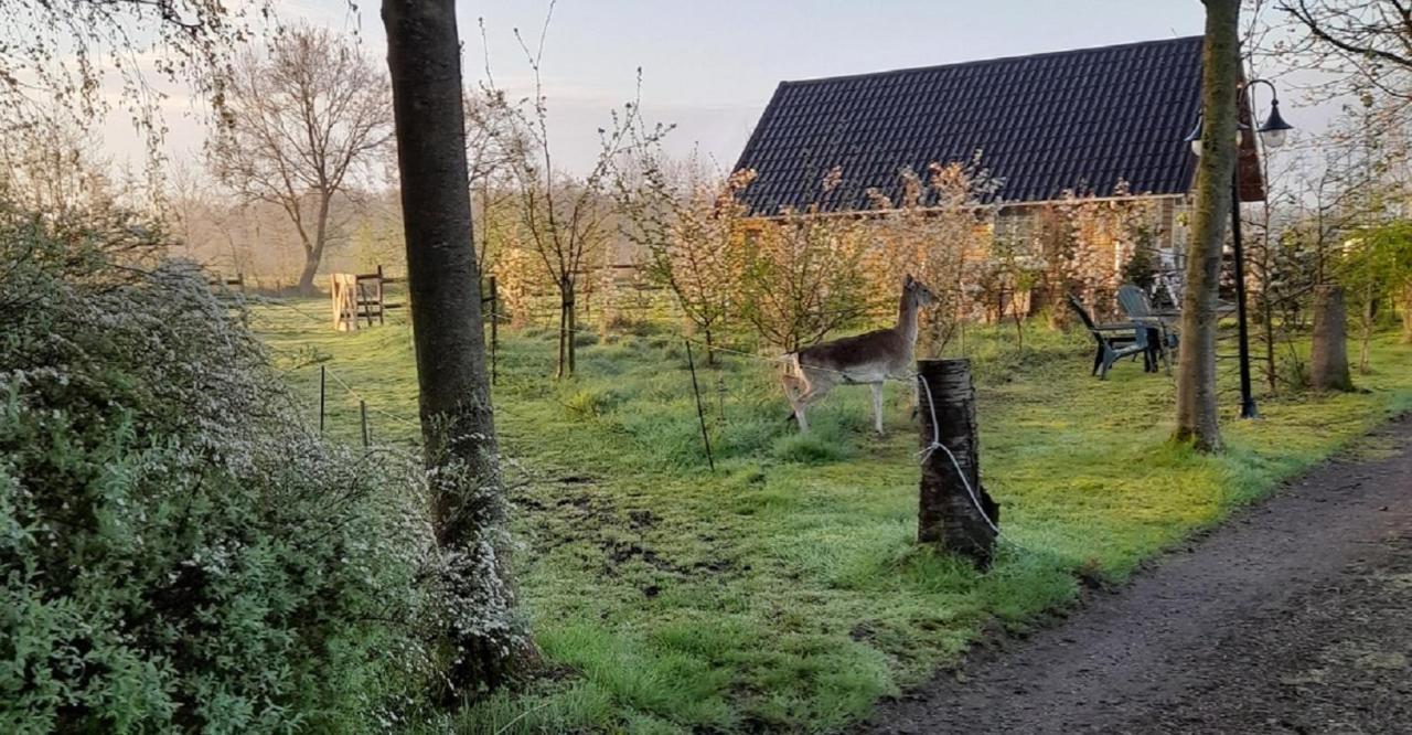 Vakantiehuisjes Landgoed Sonneborghe Kollumerzwaag Экстерьер фото